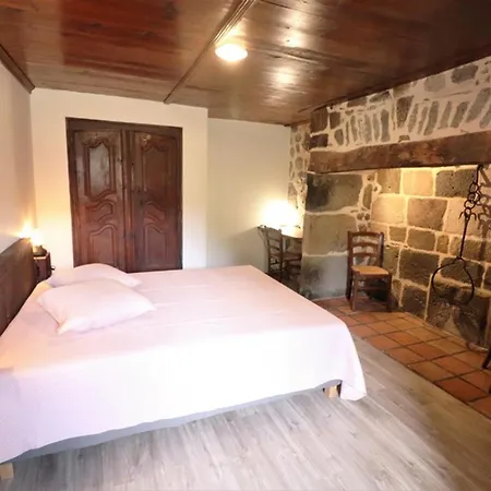 Maison De Caractere, Renovee, Au Pied Du Puy Griou Avec Terrasse Et Cheminee, Proche Station Ski Super Lioran - Fr-1-742-360 Holiday home