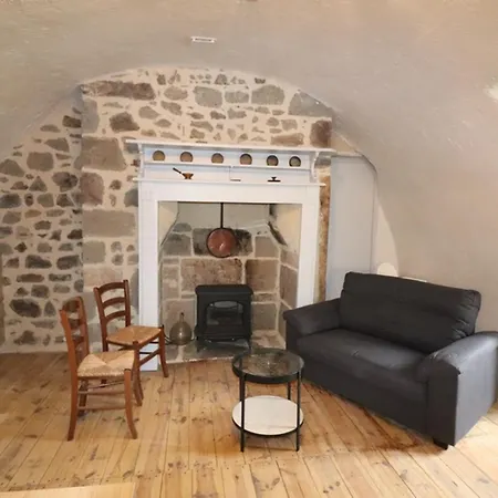 Maison De Caractere, Renovee, Au Pied Du Puy Griou Avec Terrasse Et Cheminee, Proche Station Super Lioran - Fr-1-742-360 *