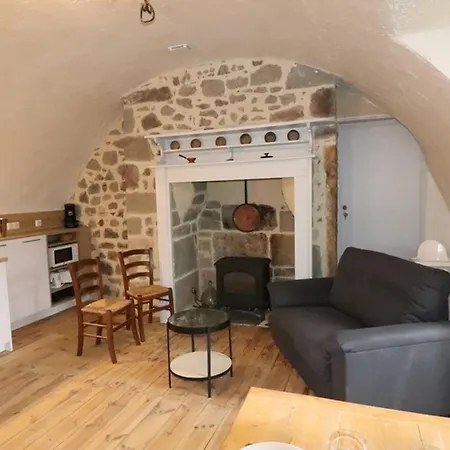 Maison De Caractere, Renovee, Au Pied Du Puy Griou Avec Terrasse Et Cheminee, Proche Station Super Lioran - Fr-1-742-360